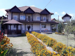 Casa Avi